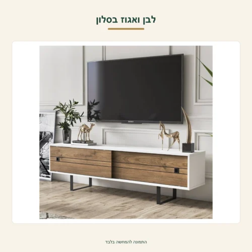 FIONA – לבן ואגוז בסלון