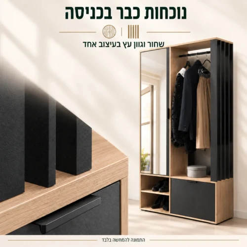 ארון כניסה BIANCO – שילוב שחור וגוון עץ ופרט גימור