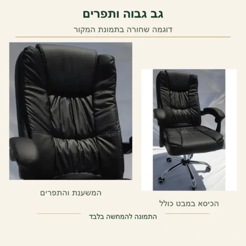 כיסא Director – צורת המשענת הגבוהה, הפאנלים והתפרים בדוגמה השחורה בצילום מקורי, לצד הכיסא המלא