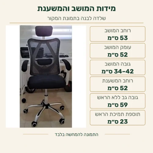 כיסא Ergo – מידות רכיבים: מושב ברוחב 53 ובעומק 52 ס״מ, גובה מושב 34–42 ס״מ; משענת ברוחב 52 ובגובה 59 ס״מ ללא הראש, ותוספת תמיכת הראש 23 ס״מ; על צילום מקורי של השלדה הלבנה