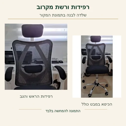 כיסא Ergo – רפידת הראש והרפידה במשענת הגב לצד רשת המשענת, על צילום מקורי של השלדה הלבנה ולצד הכיסא המלא
