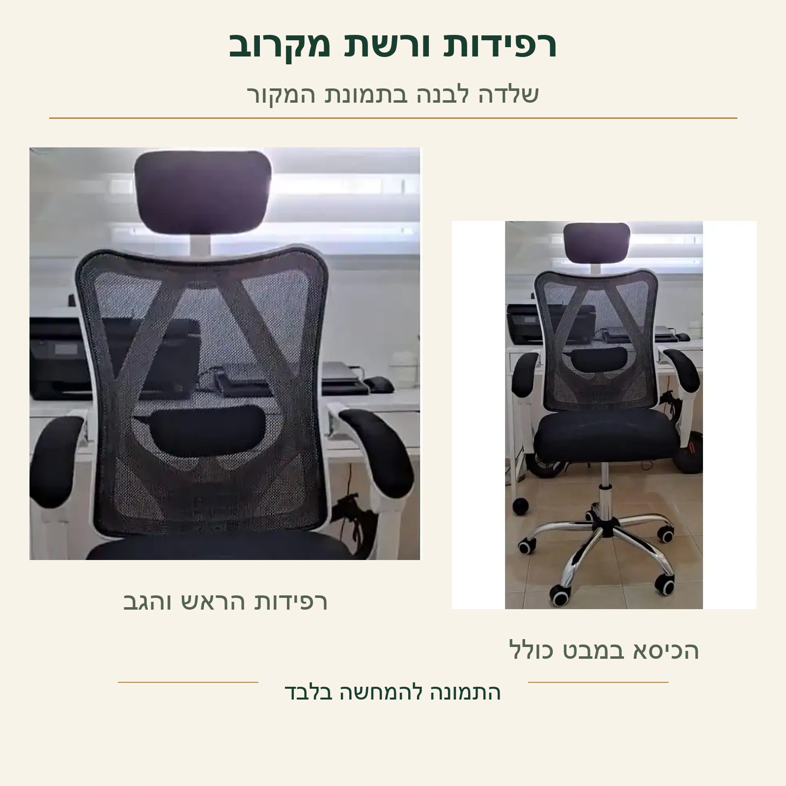 כיסא Ergo – רפידת הראש והרפידה במשענת הגב לצד רשת המשענת, על צילום מקורי של השלדה הלבנה ולצד הכיסא המלא