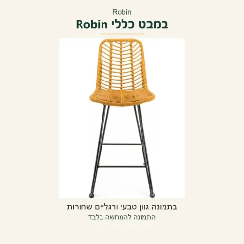 כיסא בר Robin — מבט כללי בתמונה מקורית בגוון טבעי עם רגליים שחורות