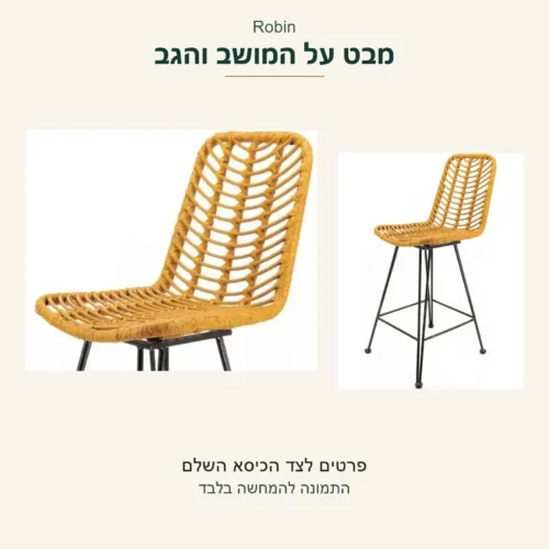 Robin — צורת המושב והגב בתצלום אמיתי לצד הכיסא השלם מאותה תמונה