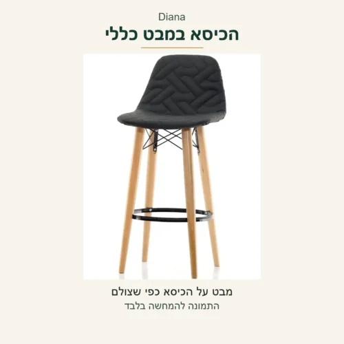Diana — הכיסא השחור במבט כללי מתוך הצילום המקורי; מבנה וגוון ללא שינוי