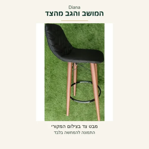 Diana — מבט צד אמיתי על צורת המושב והמשענת השחורים מתוך הצילום המקורי; רקע המקור נשמר