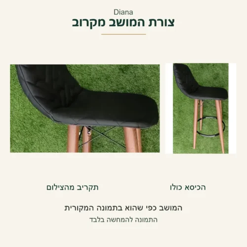 Diana — צורת המושב השחור בתקריב לצד אותו כיסא שלם מתוך צילום המקור; ללא מידות מושב משוערות