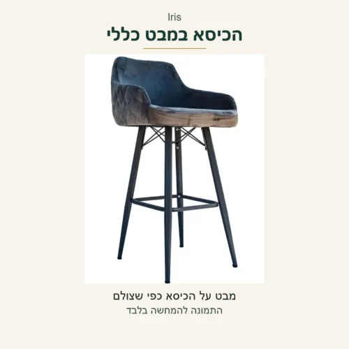 Iris — הכיסא במבט כללי מתוך הצילום המקורי; מבנה וגוון ללא שינוי