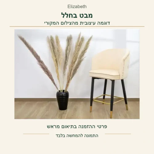 כיסא בר Elizabeth — דוגמה עיצובית מקורית בגוון שמנת בחלל, פרטי ההזמנה בתיאום מראש