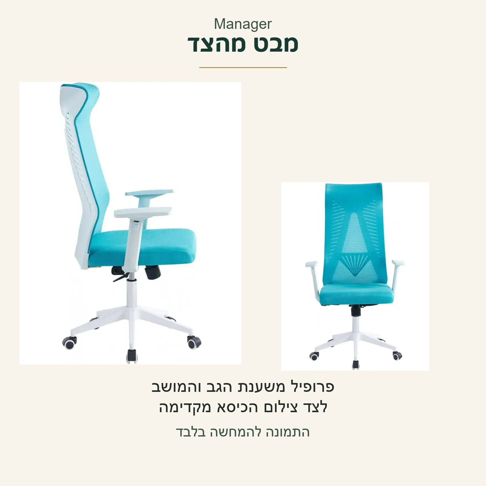 Manager — פרופיל אמיתי של הכיסא הכחול לצד צילום מקדימה; צורת הגב והמושב כפי שהם בצילומי המקור