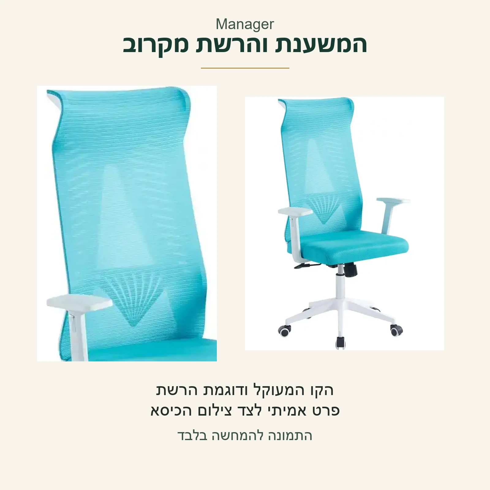 Manager — פרט מקורי של הקו המעוקל ודוגמת הרשת במשענת הכחולה, לצד צילום הכיסא בשלמותו