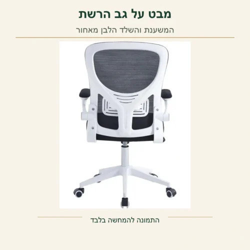 כיסא עבודה – גב הרשת והשלד הלבן במבט אחורי מקורי