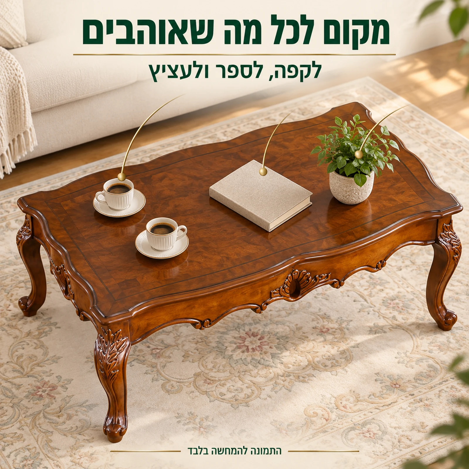 שולחן קפה עם משטח רחב לקפה, לספר ולעציץ