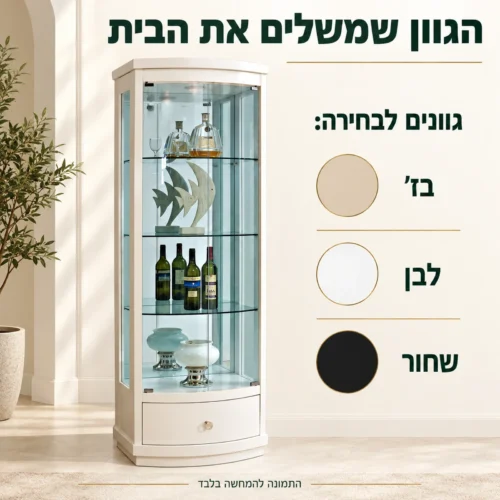 ויטרינת זכוכית והגוונים לבחירה בז׳ לבן ושחור