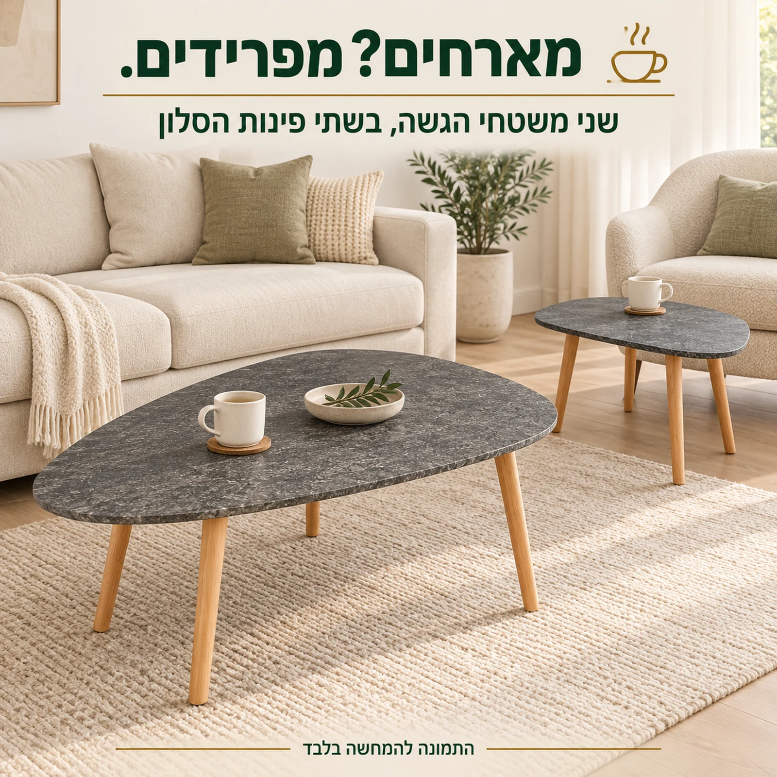 שני שולחנות קפה נפרדים להגשה בשתי פינות הסלון