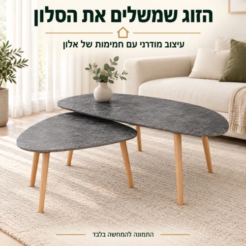זוג שולחנות קפה בשילוב קרמיקה ואלון בסלון מודרני
