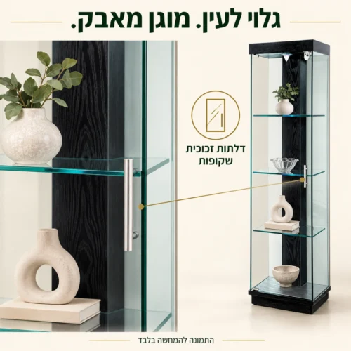 דלת זכוכית שקופה וידית כסופה בוויטרינה שחורה להגנה מאבק
