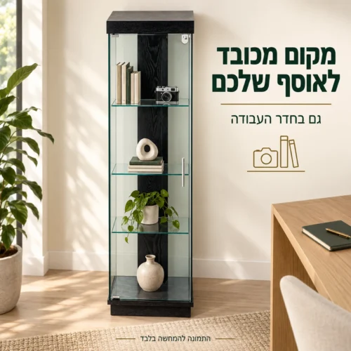 ויטרינה שחורה להצגת ספרים ומצלמה בחדר העבודה