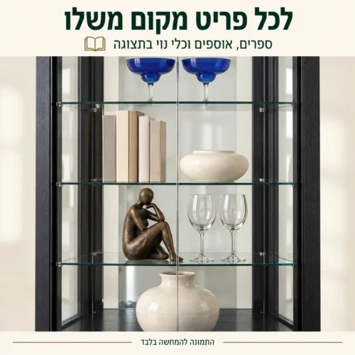 תקריב מדפי הוויטרינה עם ספרים, אוספים וכלי נוי מאחורי דלתות זכוכית