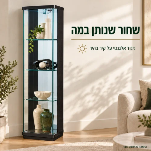 ויטרינה שחורה בניגוד אלגנטי לקיר בהיר בסלון