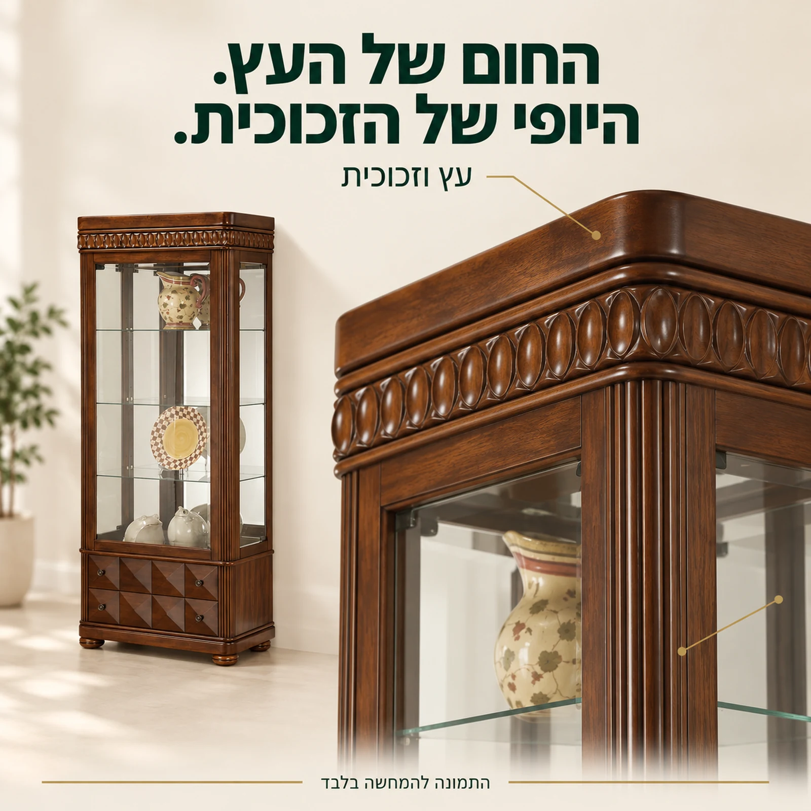 ויטרינה מעץ וזכוכית – מבט מקרוב על המסגרת והחלק העליון