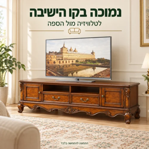 שידת טלוויזיה קלאסית נמוכה מול ספה בסלון