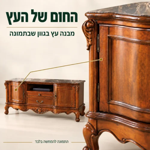 שידת טלוויזיה קלאסית – מבנה עץ ופרטי הדלת בגוון שבתמונה