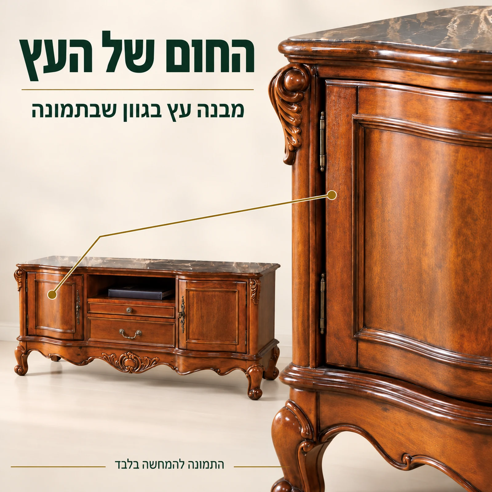 שידת טלוויזיה קלאסית – מבנה עץ ופרטי הדלת בגוון שבתמונה