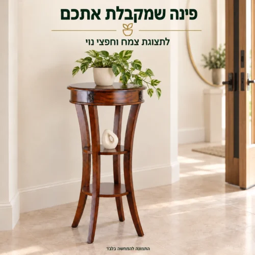 שולחן צד עגול מעץ בכניסה לבית, לתצוגת צמח וחפצי נוי