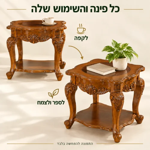 שולחן צד מעץ לשימוש לצד כורסה לקפה או לספר ולצמח