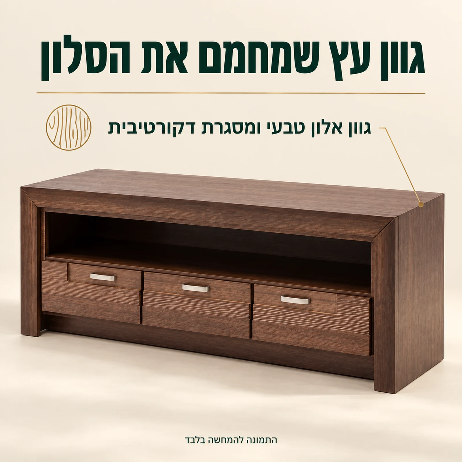 שידת טלוויזיה Paris בגוון אלון טבעי עם מסגרת דקורטיבית