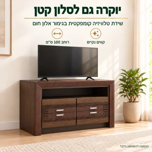 שידת טלוויזיה PARIS OAK קומפקטית בגימור אלון חום בסלון קטן