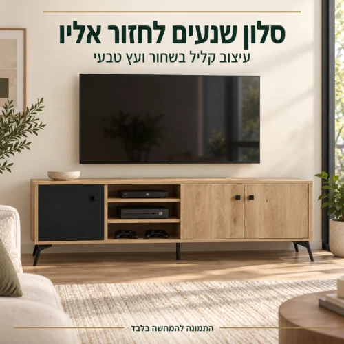 שידת טלוויזיה בשחור ועץ טבעי בסלון בהיר בעיצוב מודרני