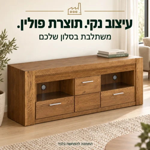 שידת טלוויזיה מעץ אלון מלא תוצרת פולין בחלל מגורים