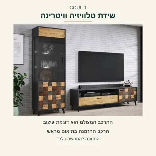 COUL 1 — שידת טלוויזיה וויטרינה בחלל מתוך צילום המקור; התמונה היא דוגמת עיצוב, הרכב ההזמנה בתיאום מראש
