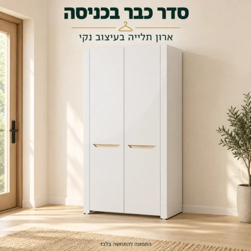 ארון כניסה לבן עם שתי דלתות וידיות פנימיות בקו עץ במבואה