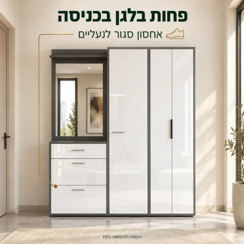ארון נעליים עם מראה משולבת – אחסון סגור בכניסה לבית