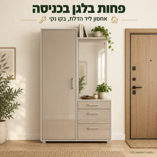ארון כניסה WINTER בגוון המצולם לצד דלת הכניסה