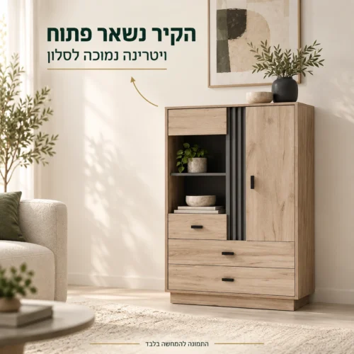 ויטרינת בר ALLAMO נמוכה בגוון Dub בסלון עם קיר פנוי מעליה