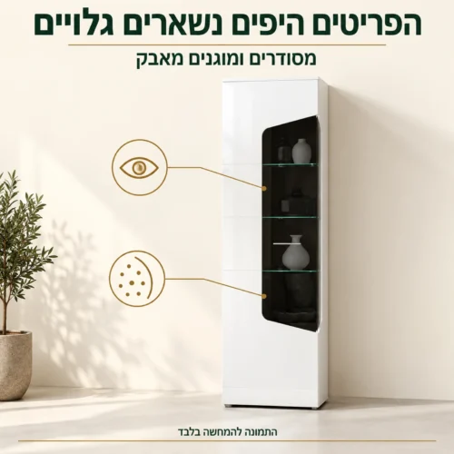 ויטרינה COREL עם חזית זכוכית כהה לתצוגת פריטים מסודרים ומוגנים מאבק