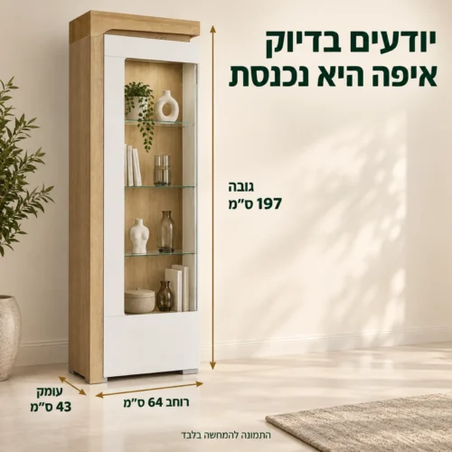 מידות ויטרינה THEO: רוחב 64 ס״מ, גובה 197 ס״מ ועומק 43 ס״מ