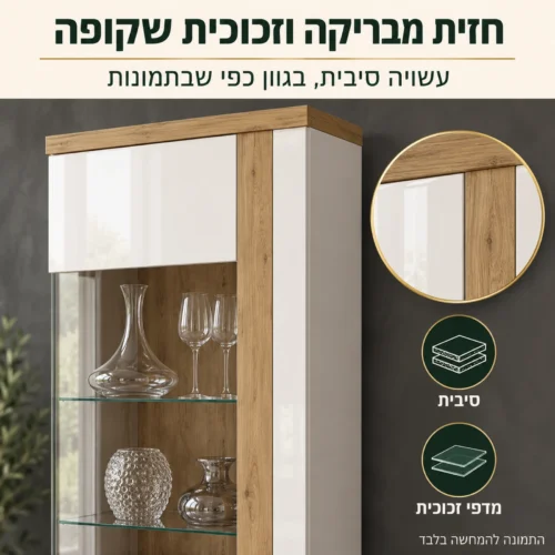 ויטרינה TULUZA – חזית מבריקה, חזית זכוכית ומדפי זכוכית