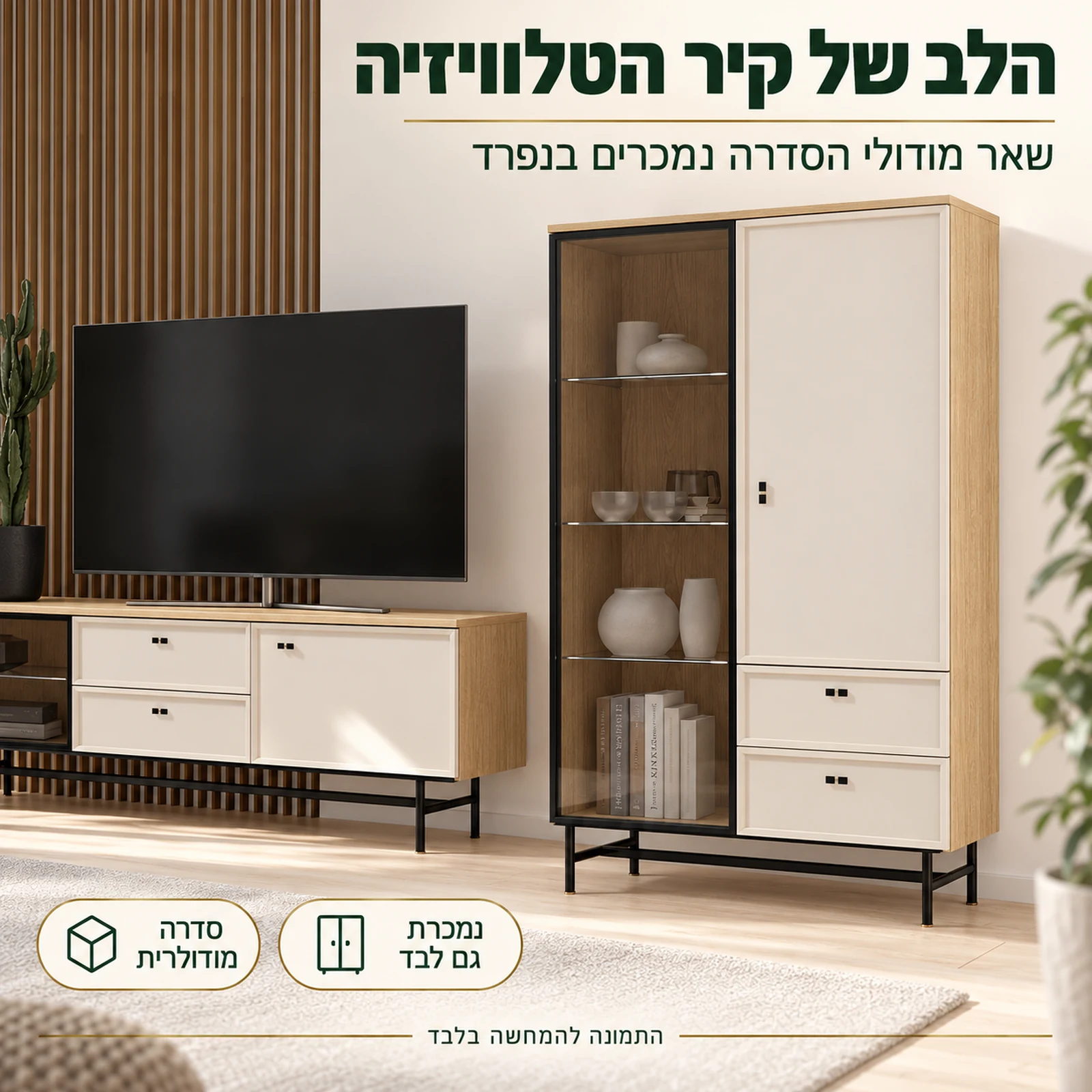ויטרינה ELORA רחבה כחלק מקיר טלוויזיה מסדרה מודולרית