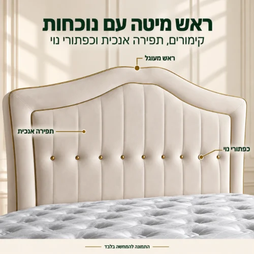 ראש מיטת Lisbon מעוגל עם תפירה אנכית וכפתורי נוי