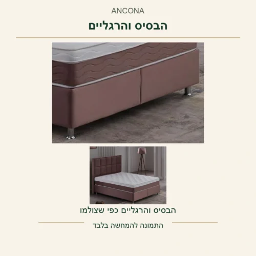 ANCONA — חזית הבסיס המחולקת והרגליים הגלויות בצילום המקור, לצד אותה מיטה