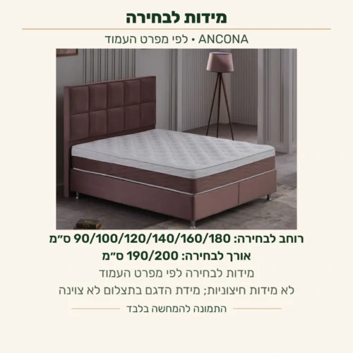 ANCONA — רוחב לבחירה לפי מפרט העמוד: 90, 100, 120, 140, 160 או 180 ס״מ; אורך לבחירה: 190 או 200 ס״מ. לא מידות חיצוניות; מידת הדגם בתצלום לא צוינה