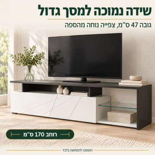 שידת טלוויזיה ARCTIC – שידה נמוכה למסך גדול בסלון