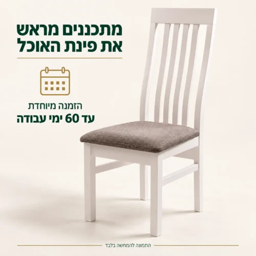 כסא MODERN לבן בהזמנה מיוחדת, זמן אספקה עד 60 ימי עבודה