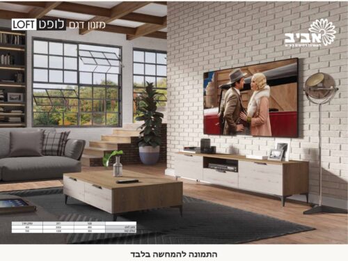 מזנון דגם לופט לסלון בגווני עץ ובהיר – תמונה 6